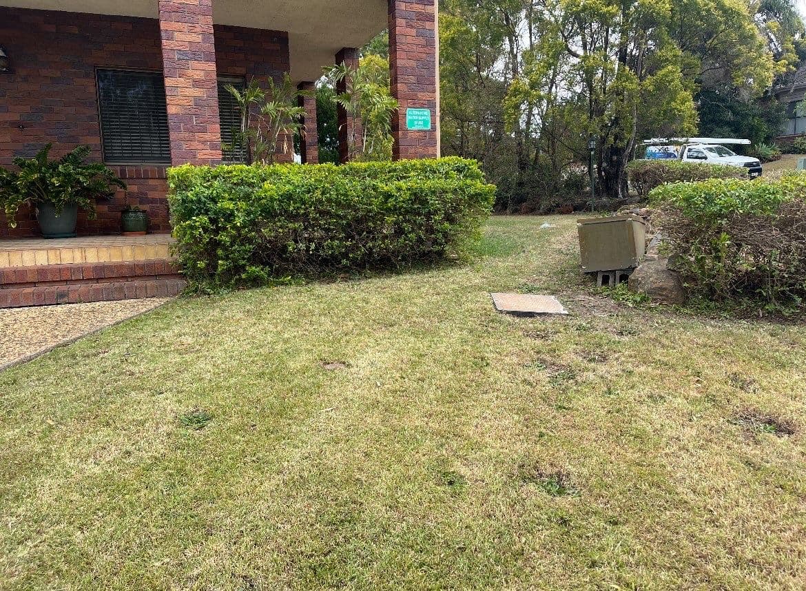 Front yard shrubs shaped and lawn mowed