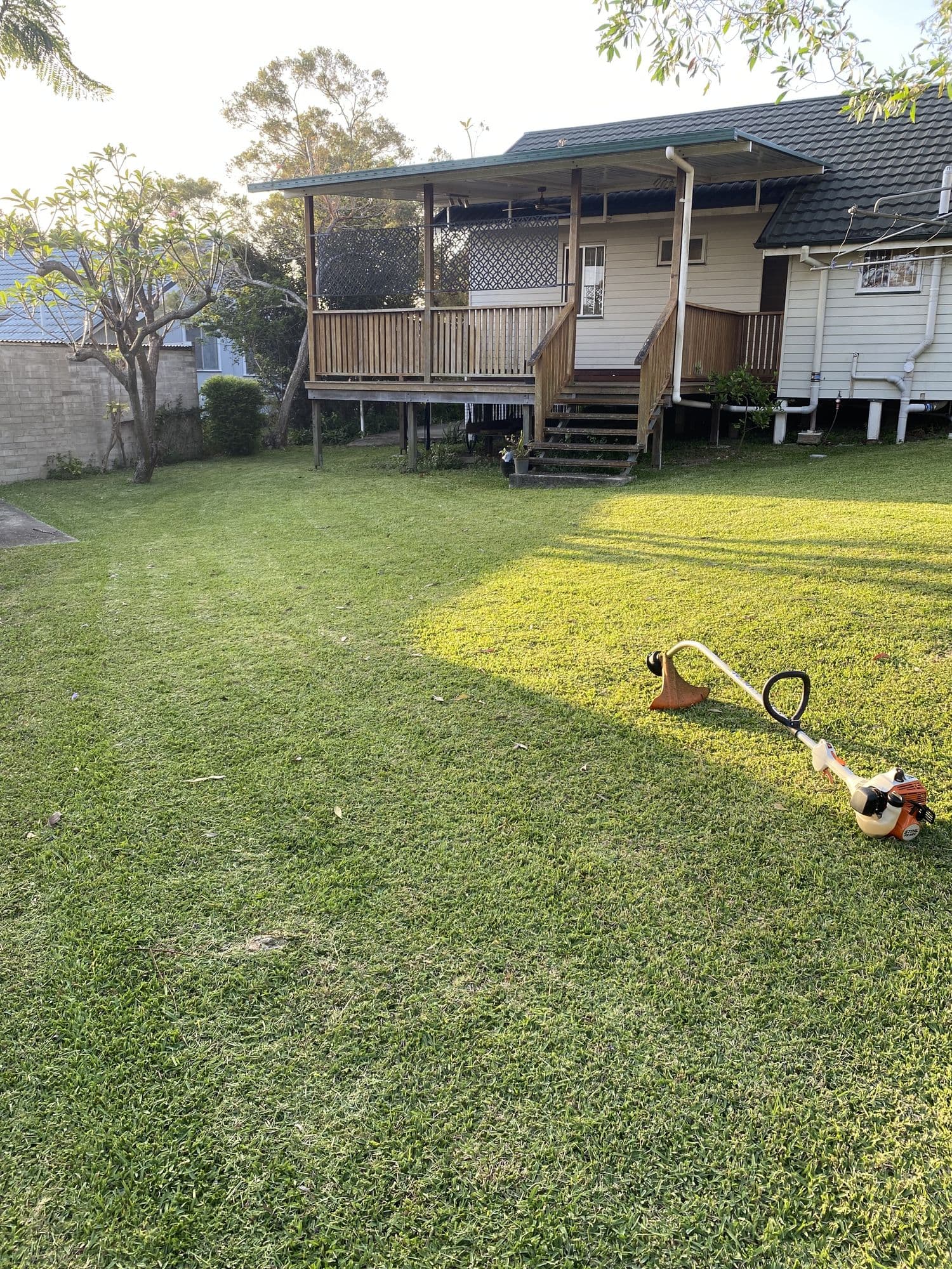 Backyard lawn freshly mowed with stripes, whipper snipper still on the grass
